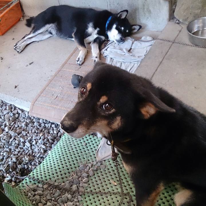 8f4dba2b 5925 4d8d b6ff 802eb9a2b7f2