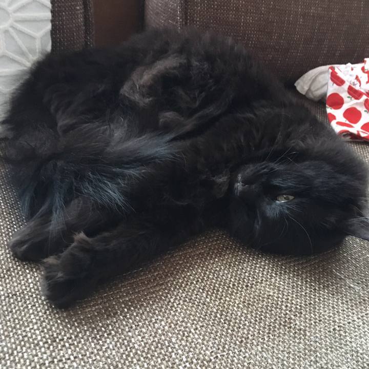 8f4ddf4d e1e2 4f60 a48d 6ad3f3fa4fda