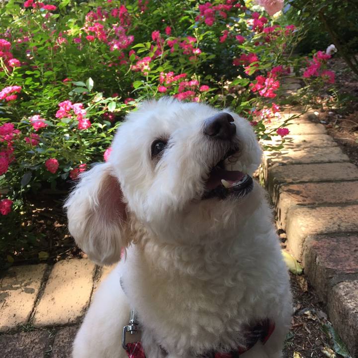 8f4e59e5 2723 4647 9483 2e0a5f0e053c