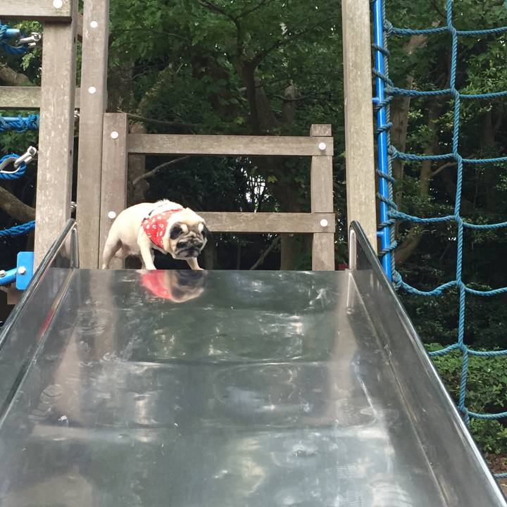 8f4eacd3 4414 451e 9668 bae9ca553a60