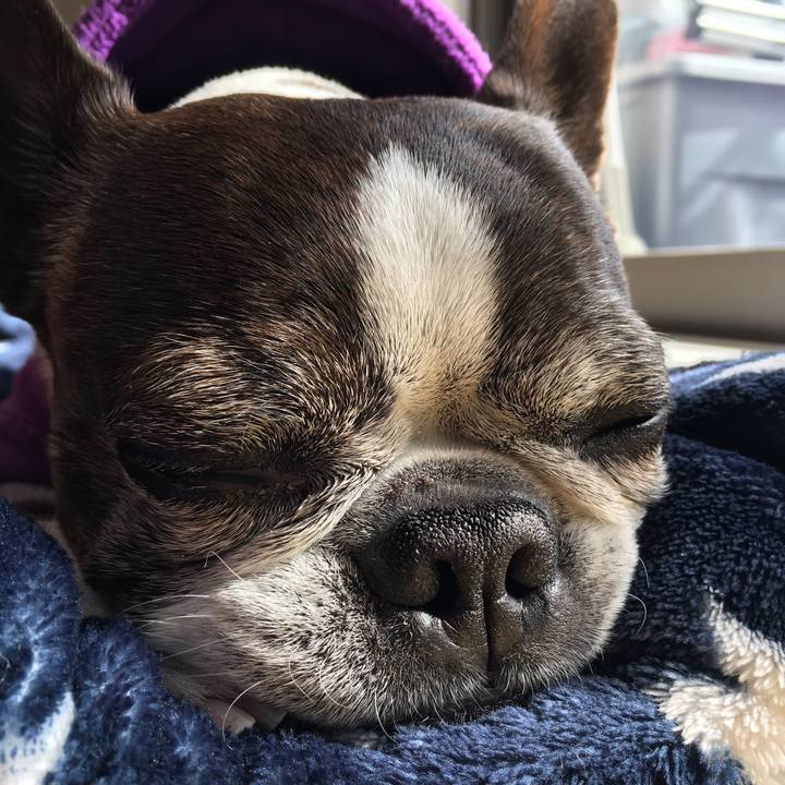 8f4f2aa7 d0df 4cc2 afbb e2c65a7c8430