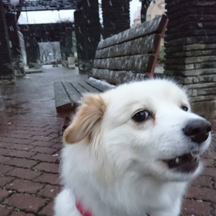 8f4f4123 8487 4d54 a549 b97b25ef3f69