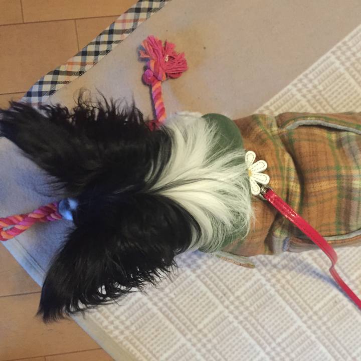 8f4f5e8d b344 4e95 9ba5 2ad9987b7281