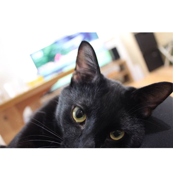 8f4f79ce ead7 4bed b2be 47db4ea35f83