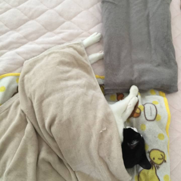 8f4f9026 352b 49dc bccc fdaf3c14cf6d