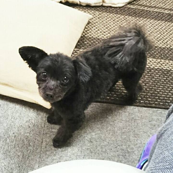 8f4fa59d 336b 4941 8edb dbdc6c843d6f