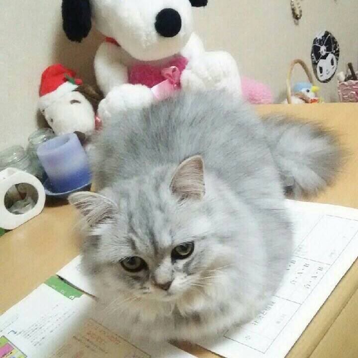 8f4fccd3 65e6 4b40 94ac 4b20a794d7f5