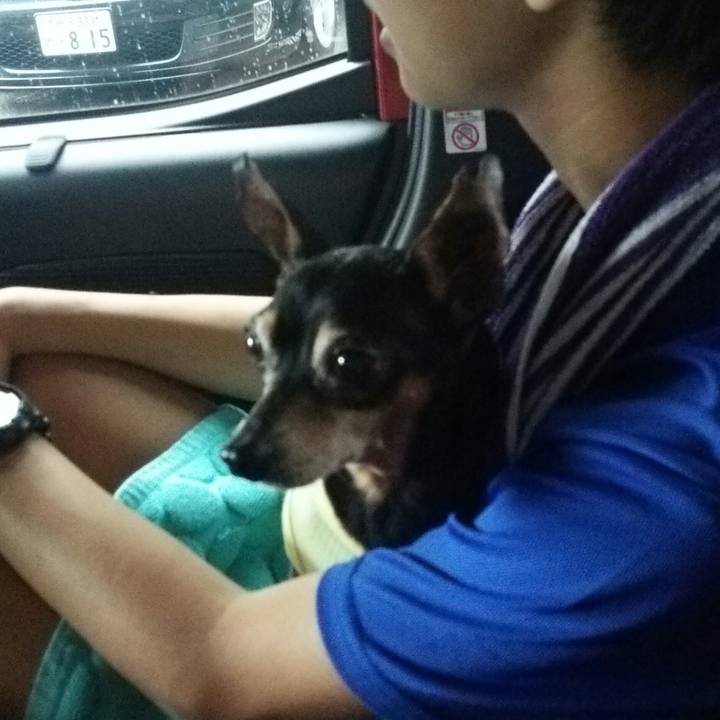 8f508c80 c258 4d8d b5ff a313673b92a6