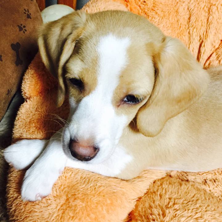 8f5132db 6d0e 4afa 8fff 2bbd1acc03e5