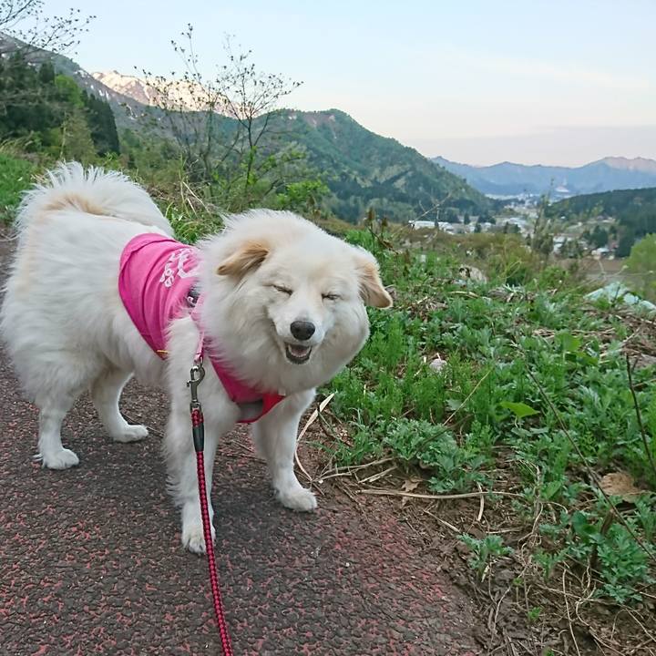 8f514588 a40e 43c5 87c7 ff2dd6839620