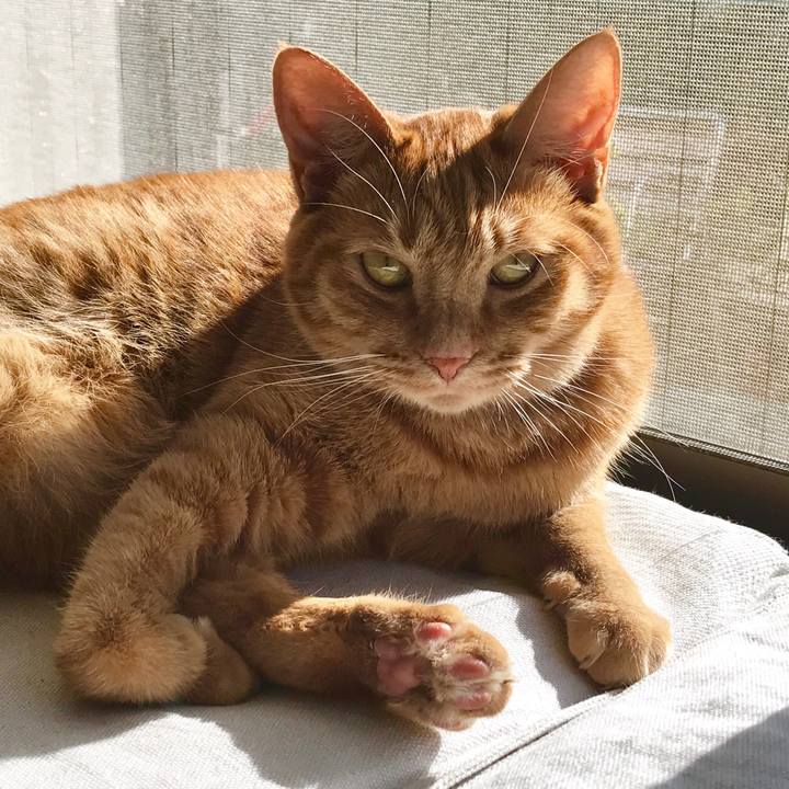 8f52b164 e1ac 437d a92b b8e8f55f8892