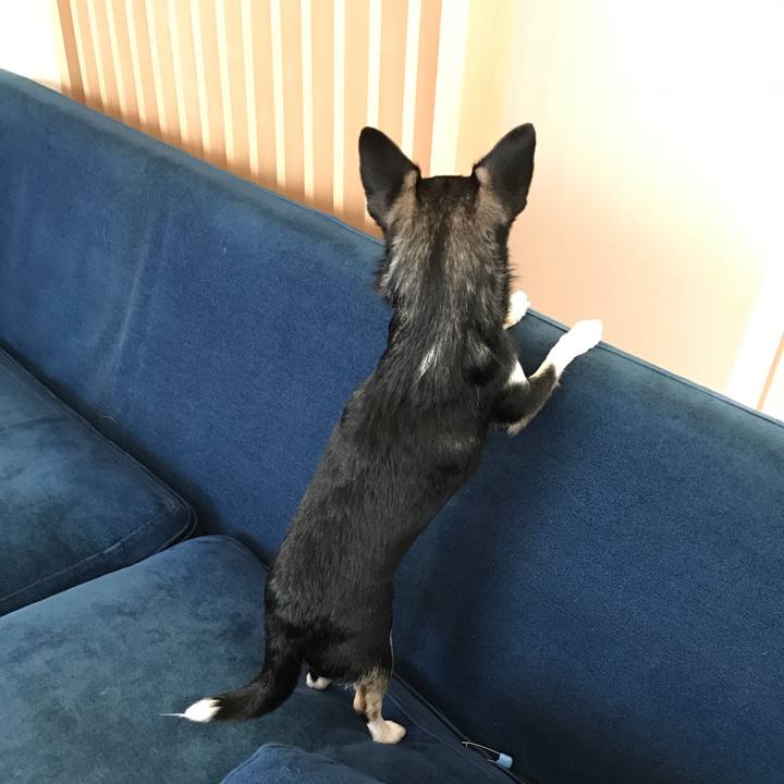 8f52b4cf b12e 4bfd 9735 4c44f25053e9