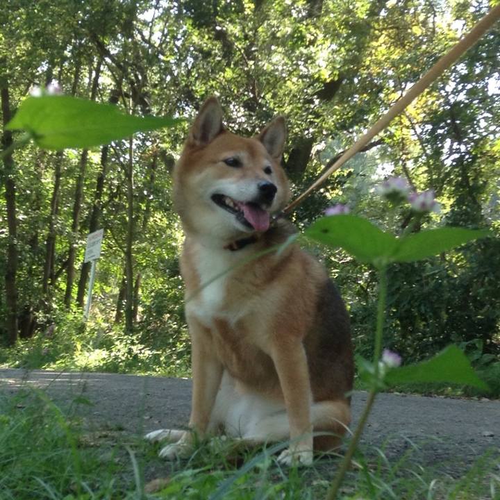 8f52e256 fe99 4874 b78d cf23158bfd04