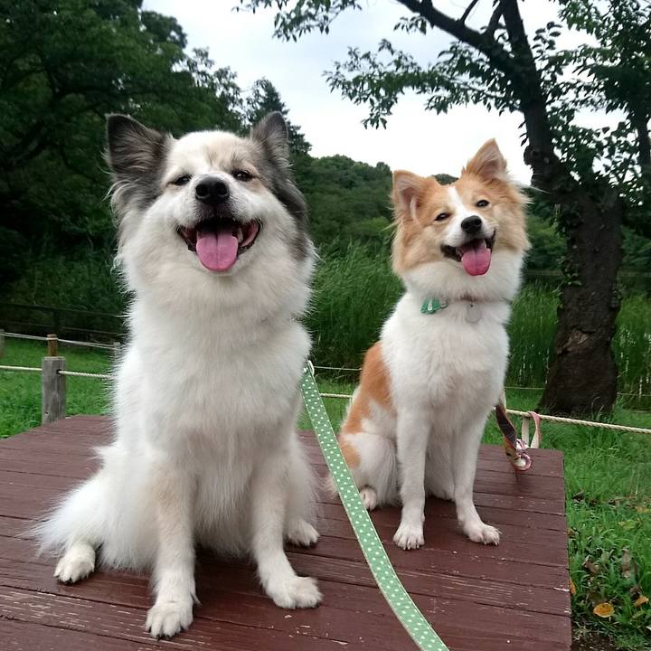 8f53383f 06f2 4ddc 8ff2 a423f2599cd2