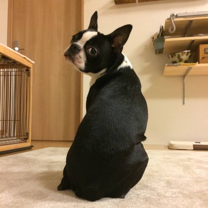 8f538f7b ae82 466f 8106 5acfe0bc37f1