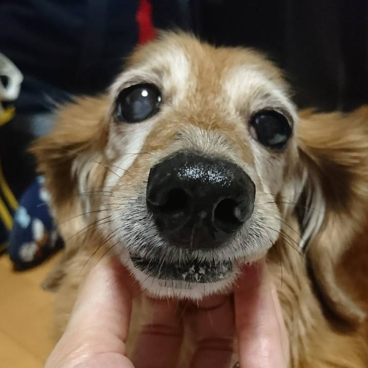 8f544dce 6d37 482d a739 77d028bd7967