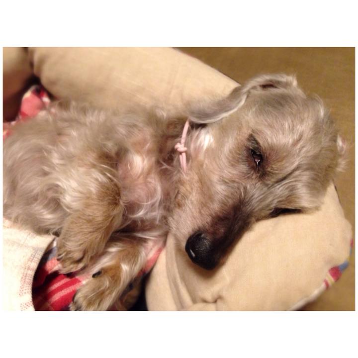 8f545d0a 6ba4 437b 9e65 007f41b06d5b