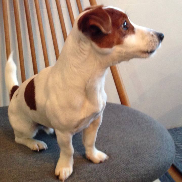 8f55a827 577d 4c29 b01b 54d18554e8c6