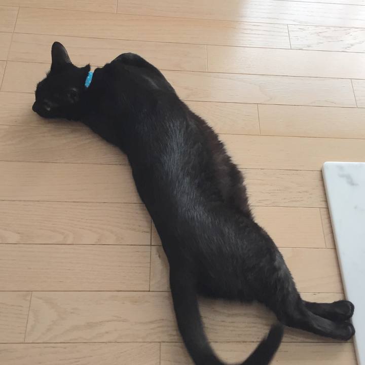 8f565920 9b54 42b6 a2de a2e52c8a1b77