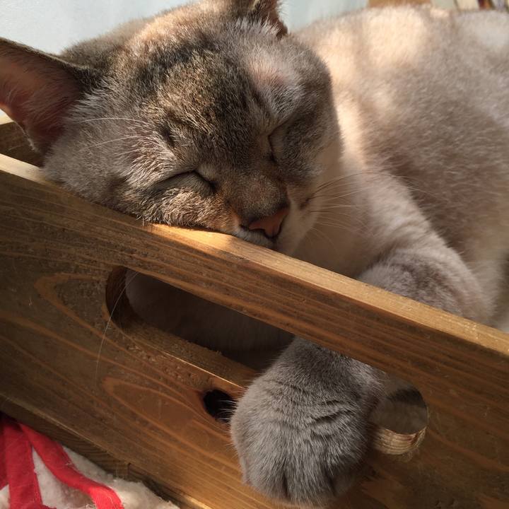 8f56a668 6cfa 4d90 be90 a37109a0997f