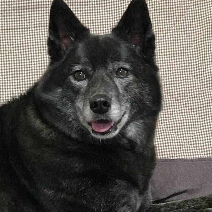 8f577393 0e4d 495c ac55 d774ae1bef36