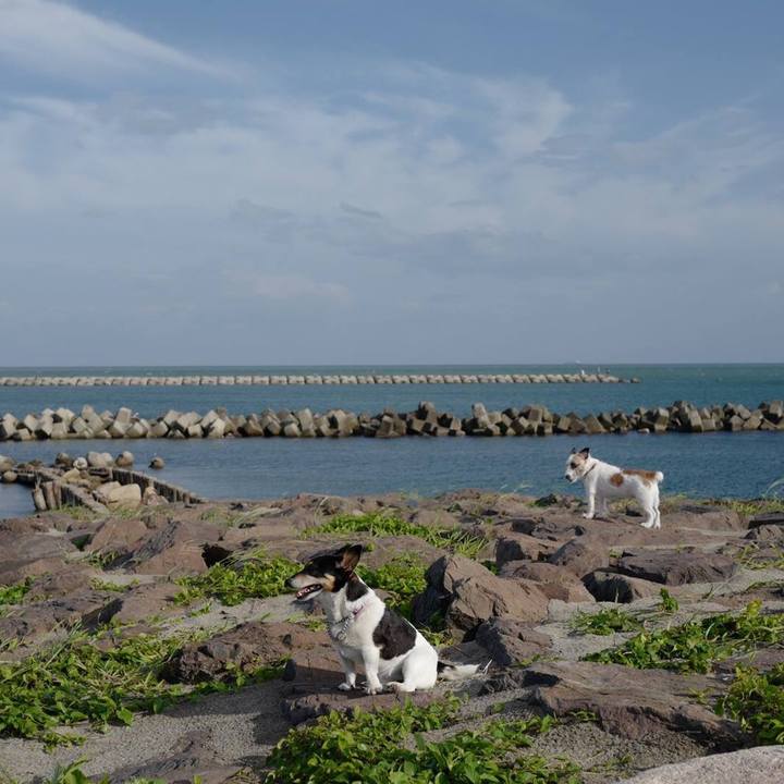 8f578542 8f50 4ea7 a2bc 843196c9fd8c