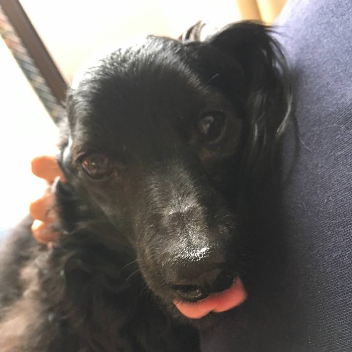 8f578dd8 7661 47c5 ae73 6cc943f660b6