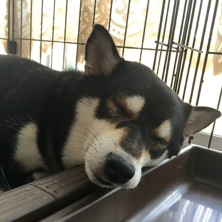 8f57f02e 5f6c 43b4 b5ad 8b4f3a83e5f2