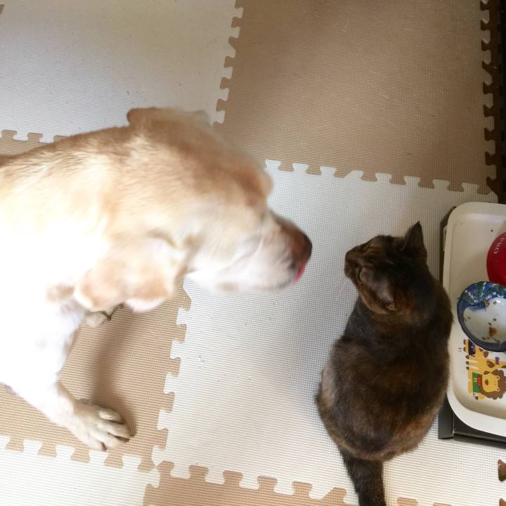 8f58ee52 10c7 4fe7 b6dd 2e9a78cd64b4