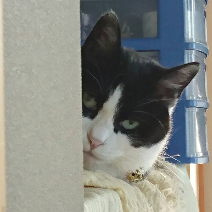 8f58efef 51e8 459b 9c38 5bbf7d5f4fe7