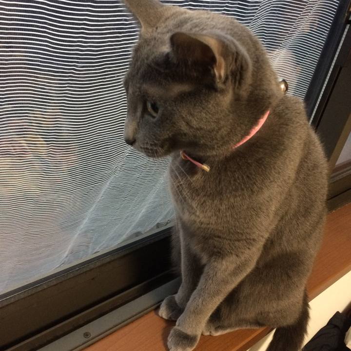 8f5921c7 b8e1 4260 803d 528af38664e9