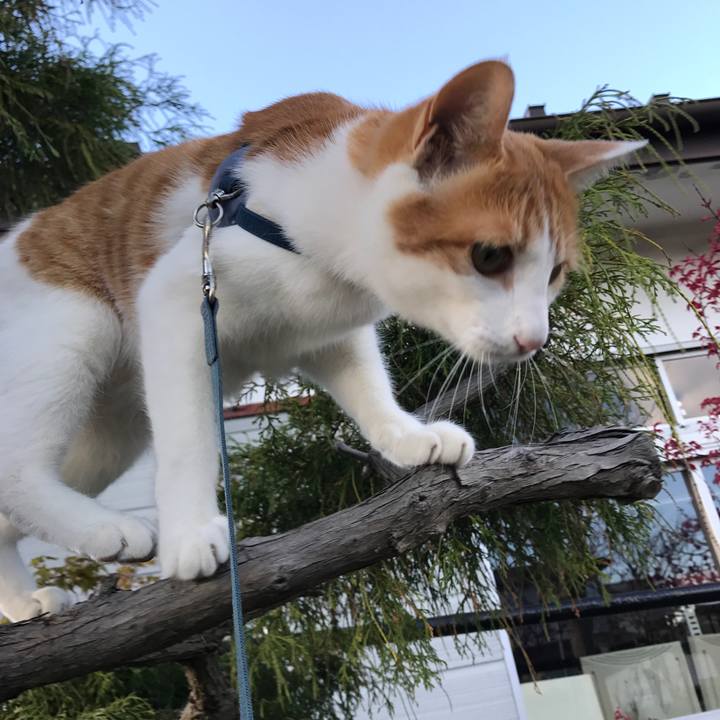 8f59b687 a022 42d6 9ac2 5dc2fb5feb14