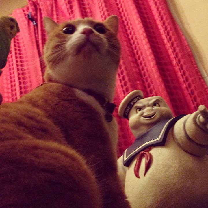 8f59f03a 8578 4fc5 bd04 9b9764c1a2b7