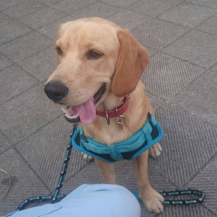 8f5a1982 6ab9 4121 9e04 27f266c78d3c