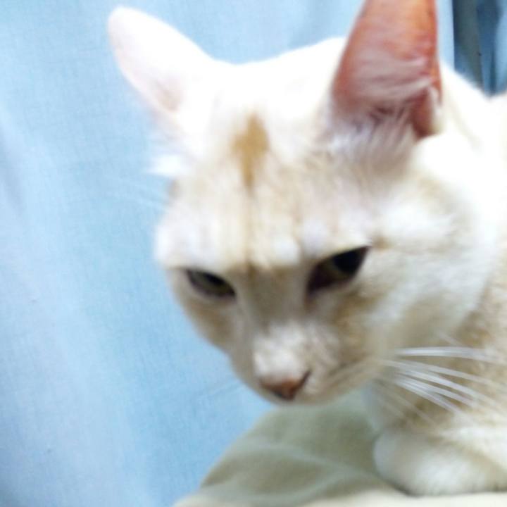 8f5b7104 ff29 458e b8af c95e703e45e1