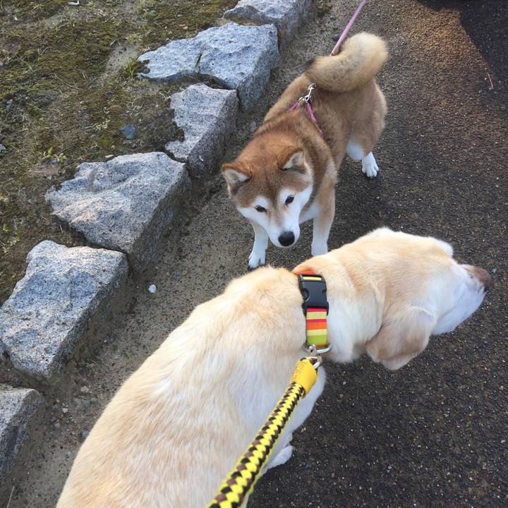 8f5b76a9 e93b 4252 bdd5 604f855a1ad5