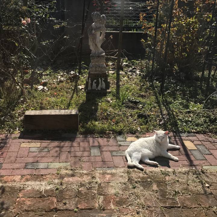 8f5b7e94 9158 452d bfd8 599627227ec9