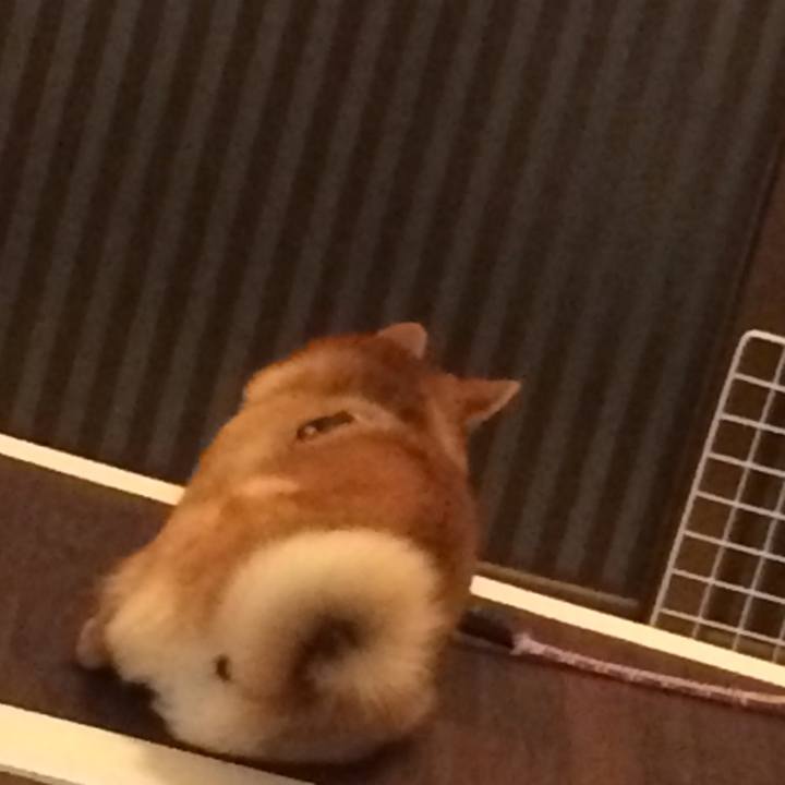 8f5bfac6 1ebd 4bc7 bd06 508db4e54303