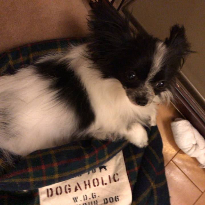 8f5cb815 14f7 4172 8188 fb45776ac0e0