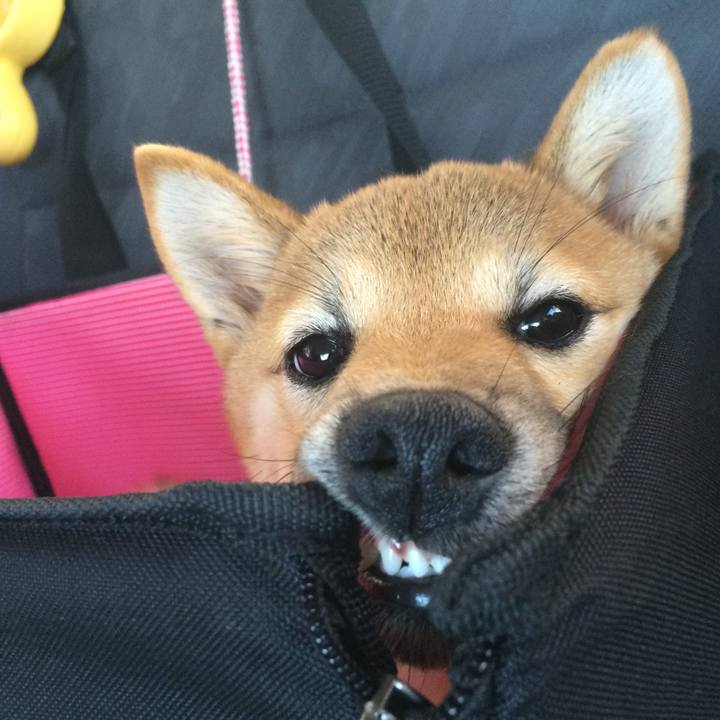 8f5d3b25 914e 41b8 8651 d2197fbca324