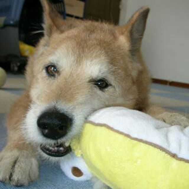 8f5d9be8 3f10 43da 80ce 45c6f2af3b54