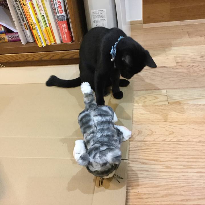 8f5dc413 20ad 4370 b389 122d0a161c44