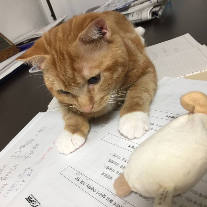 8f5e53c7 a05a 430d a0e3 b932632de7a2