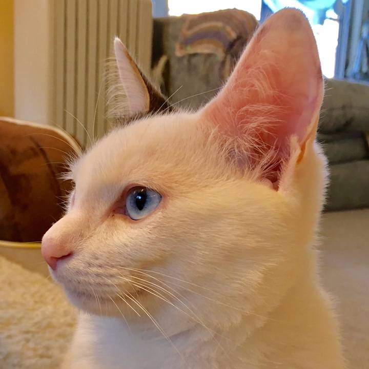 8f5e65cb d3b8 4f1d 9e79 c97a804ae950