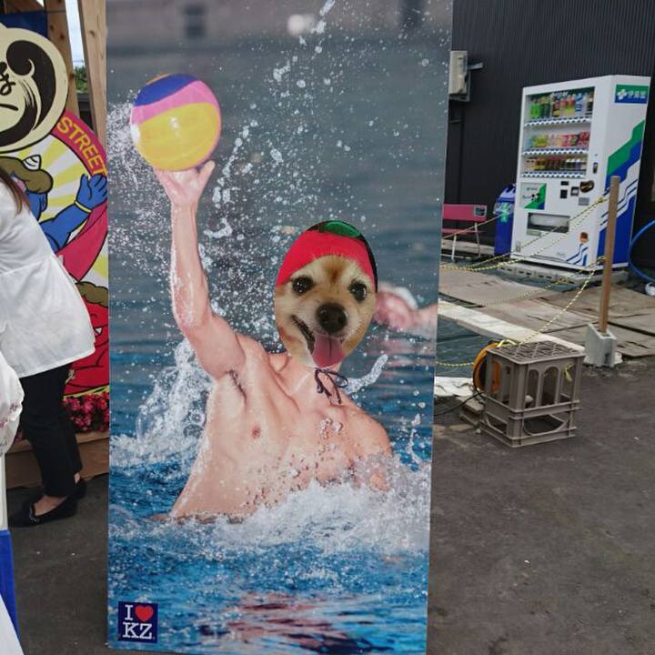 8f5e67dc aec1 4957 abd3 d10f480dbd52