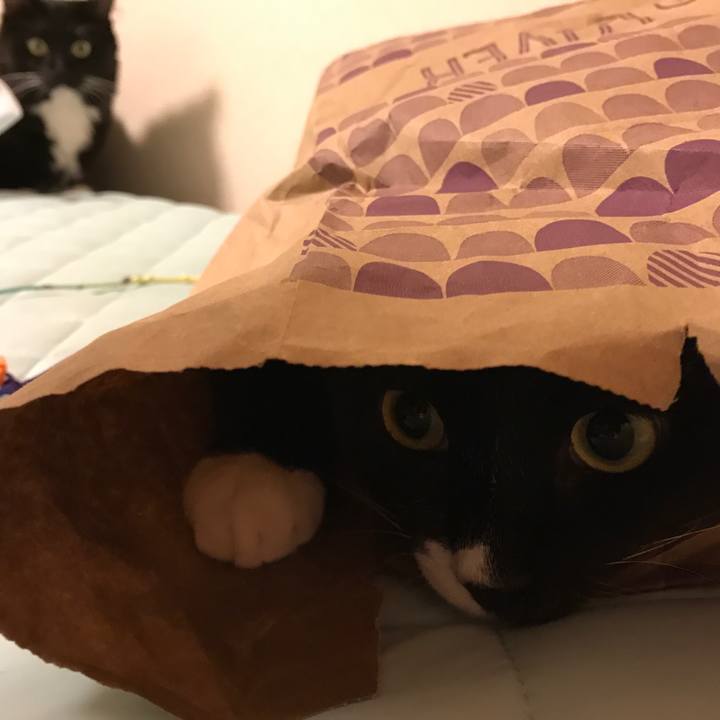 8f5f30d7 bc48 4f1b 8e5e cf3517fb2e6d