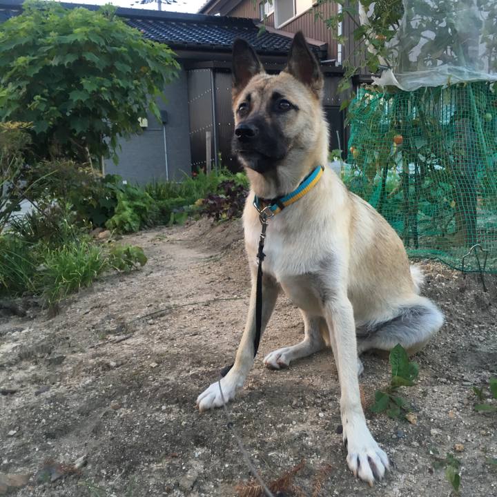 8f5fca61 156c 40e8 aedd b860d4839e14