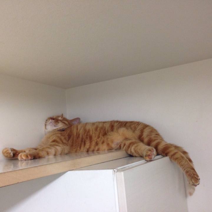 8f5fe82c 02c4 4cce b432 6064a998aee8