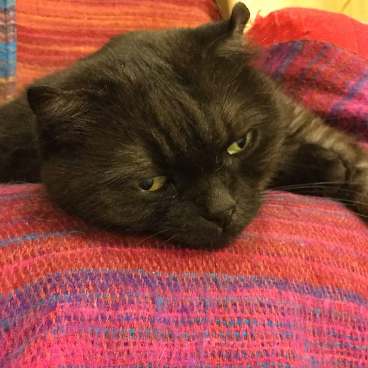 8f60048f 10ac 42ec 9ea2 d5af3fa6249b