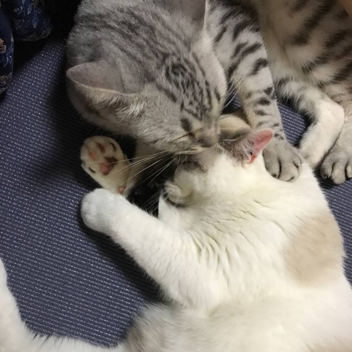 8f607dd8 bc63 4a28 9516 a141455d34ba